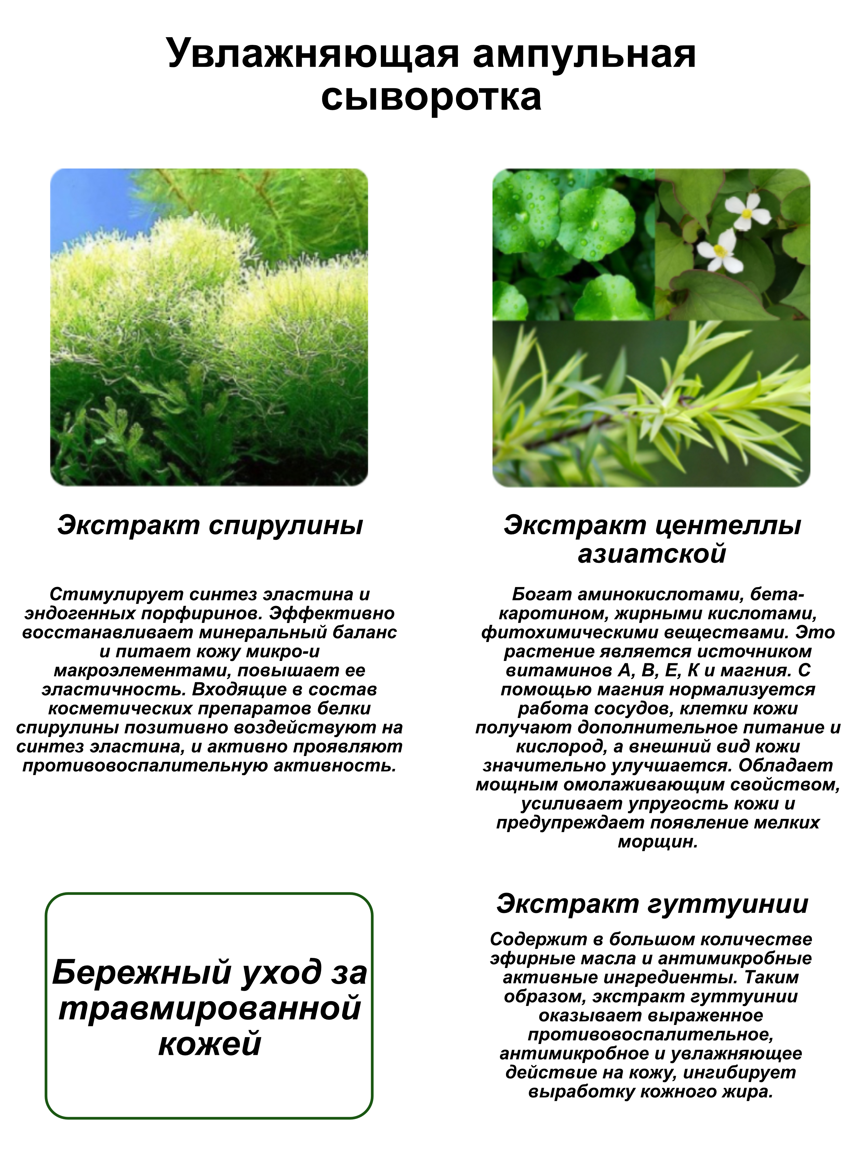 Muldream Ампульная сыворотка для лица с экстрактом центеллы Vegan Green Mild CICA Ampoule, 55мл
